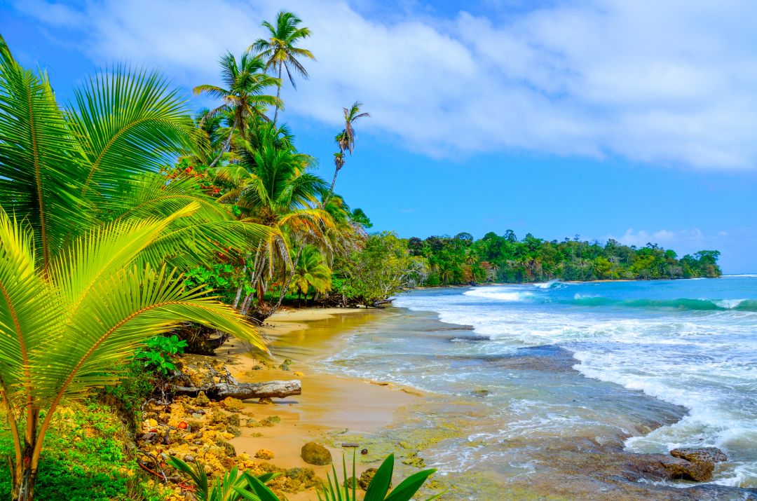Bocas del Toro