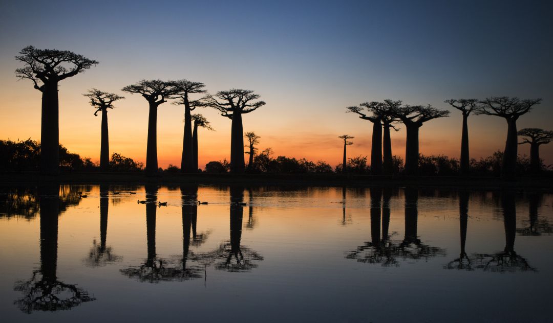 Madagascar