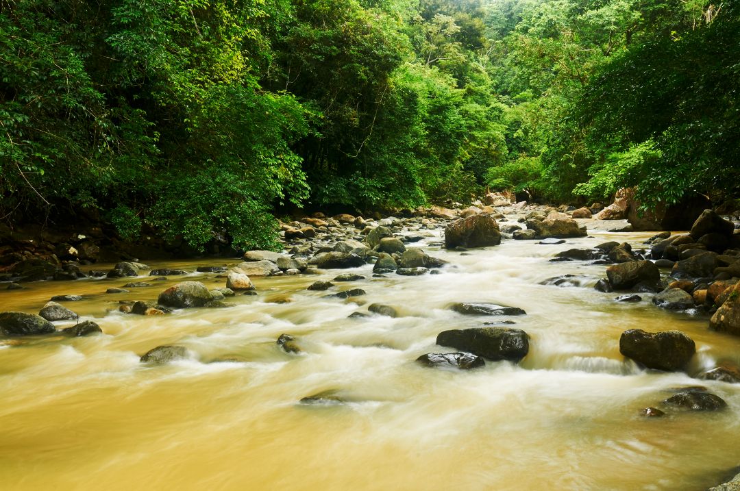 Panama