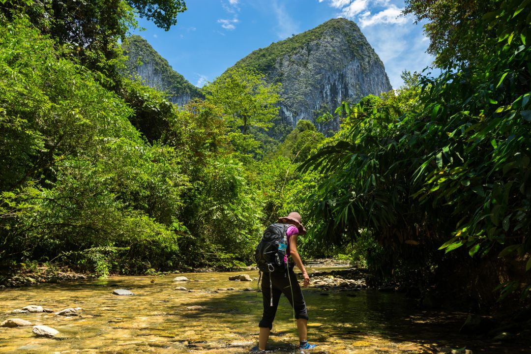 Mulu National Park