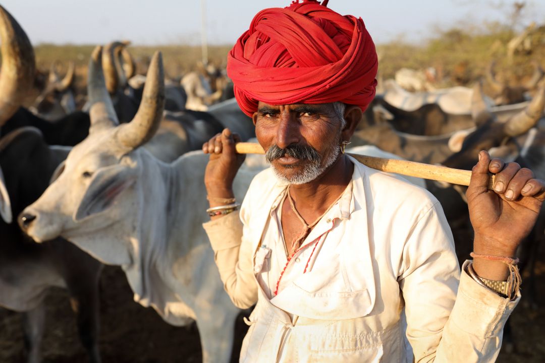 Rann of Kutch