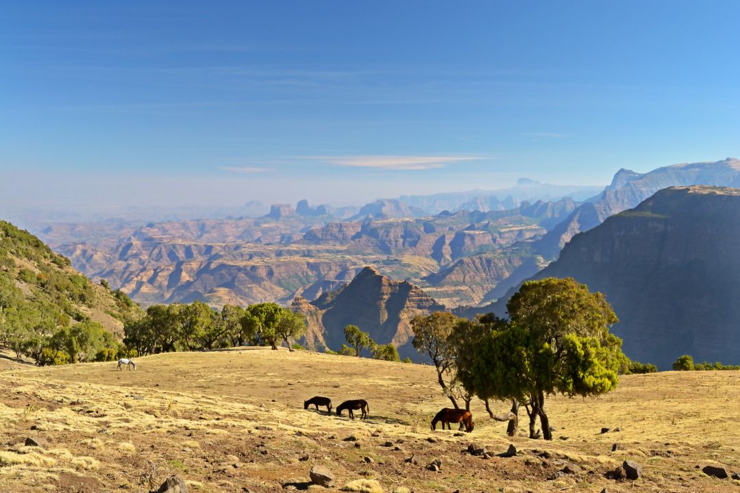 Simien Mountains