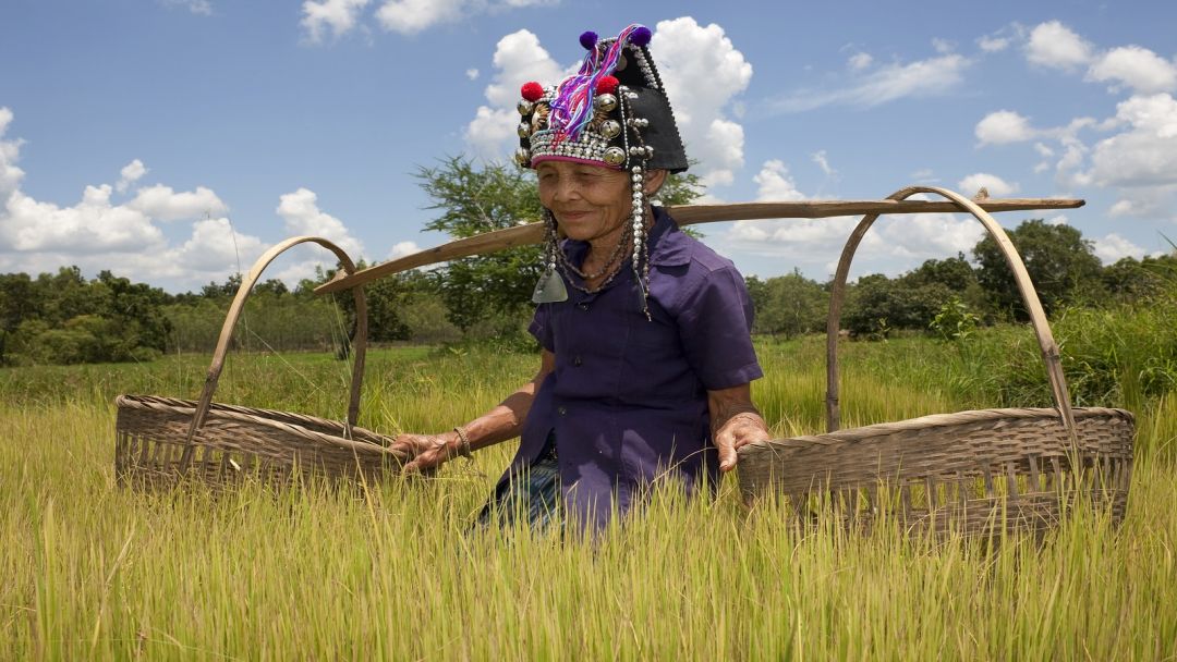 Laos