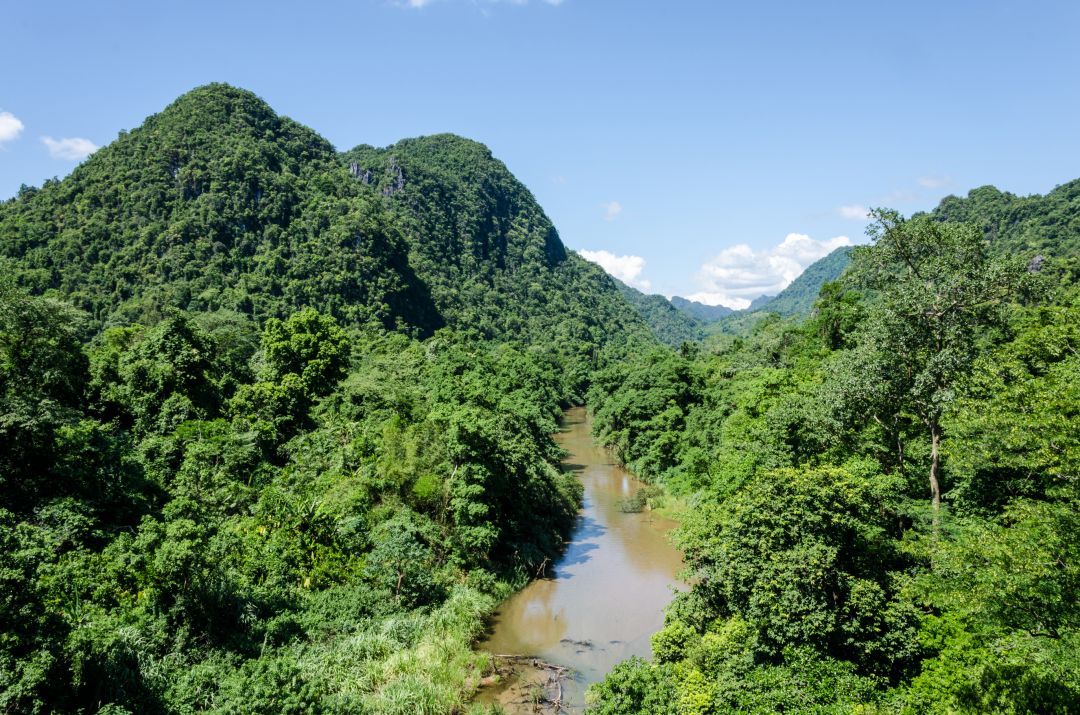 Phong Nha