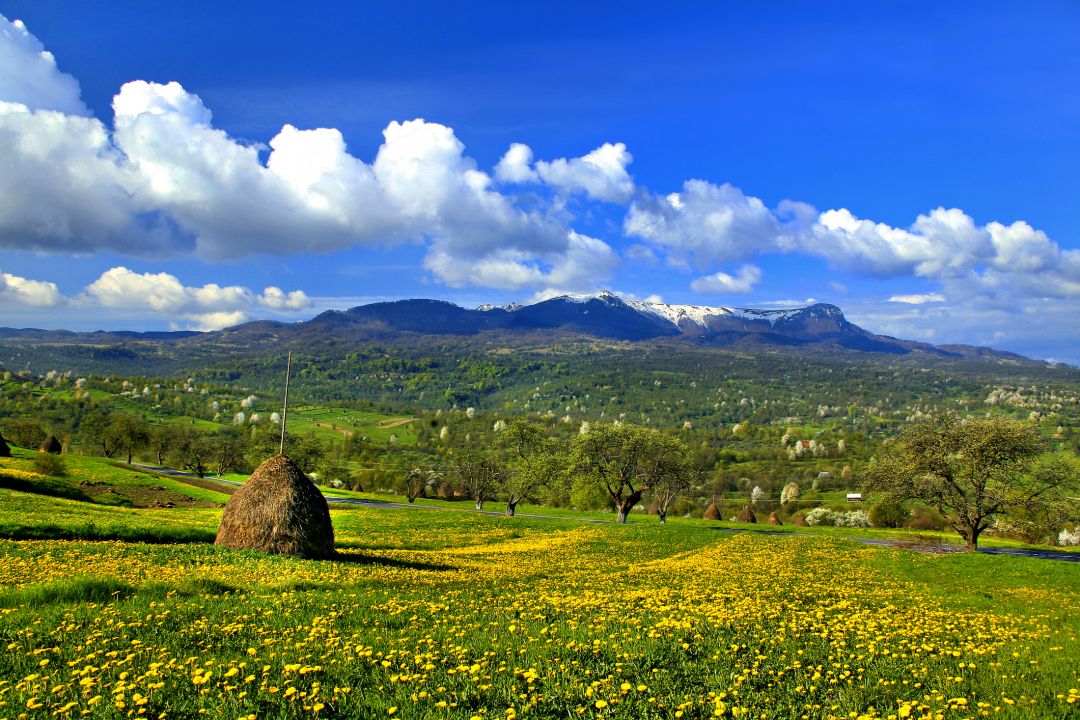 Maramures