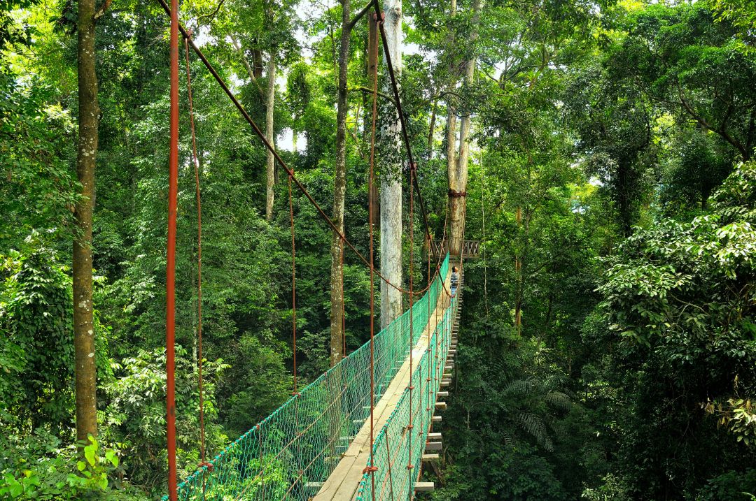 Maliau Basin Conservation Area