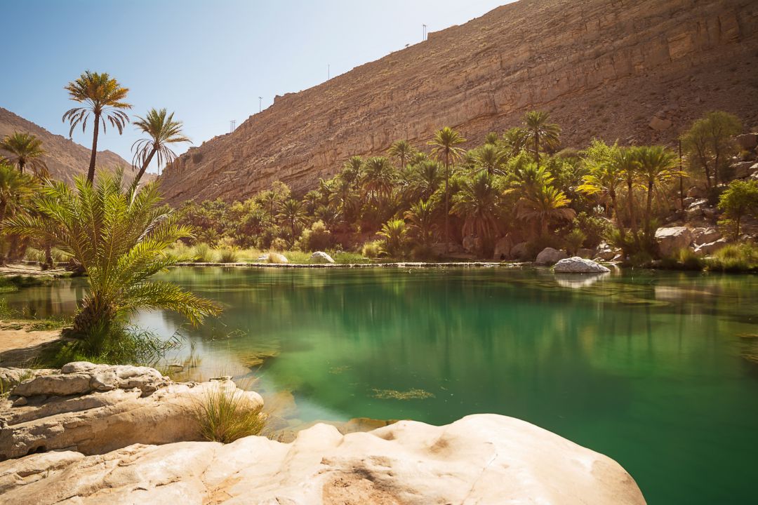 Wahiba Sands