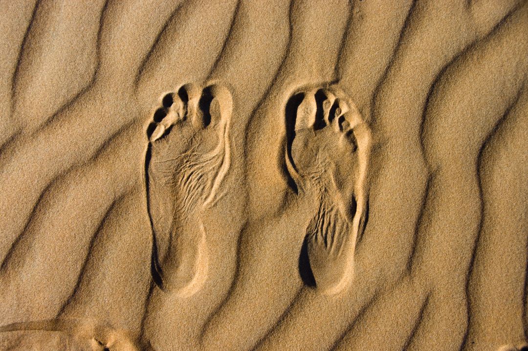 Wahiba Sands