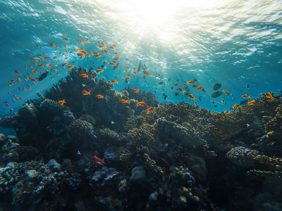 Marsa Alam