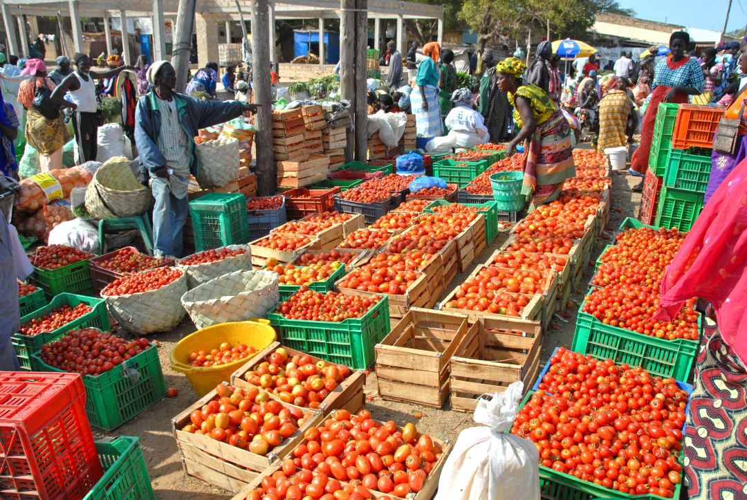 Senegal
