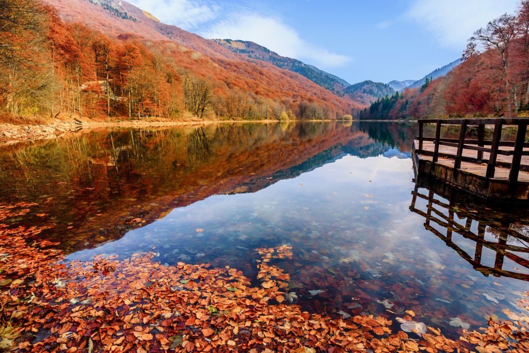 Biogradska Gora National Park