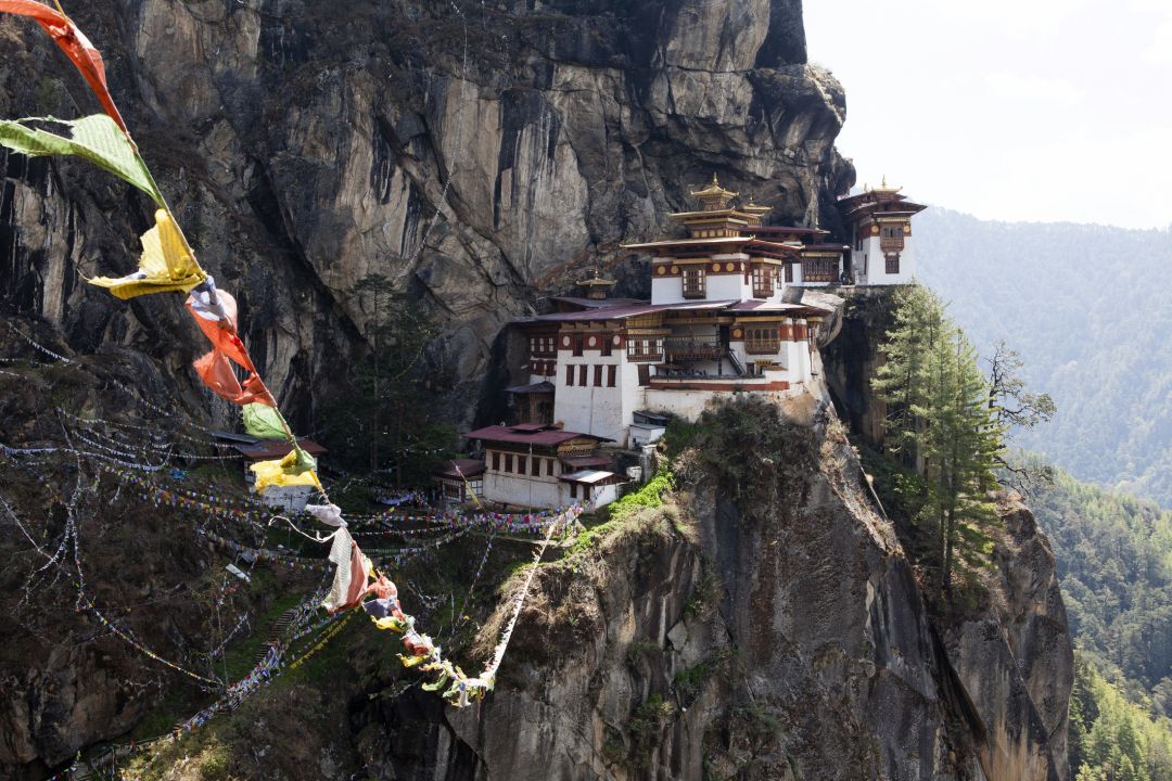 Paro