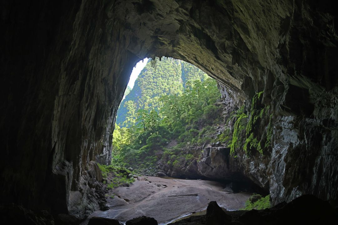 Phong Nha