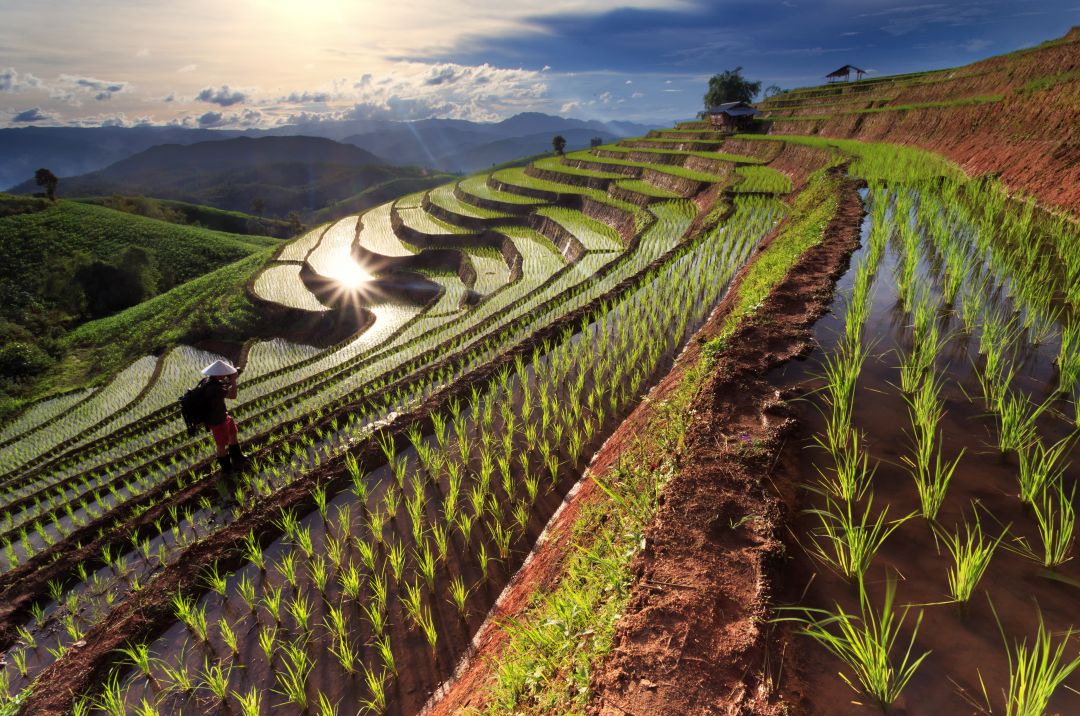 Chiang Mai