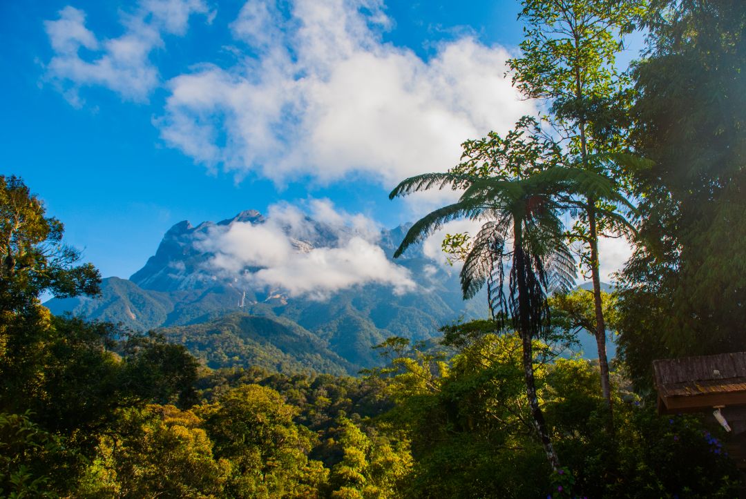 Kinabalu National Park