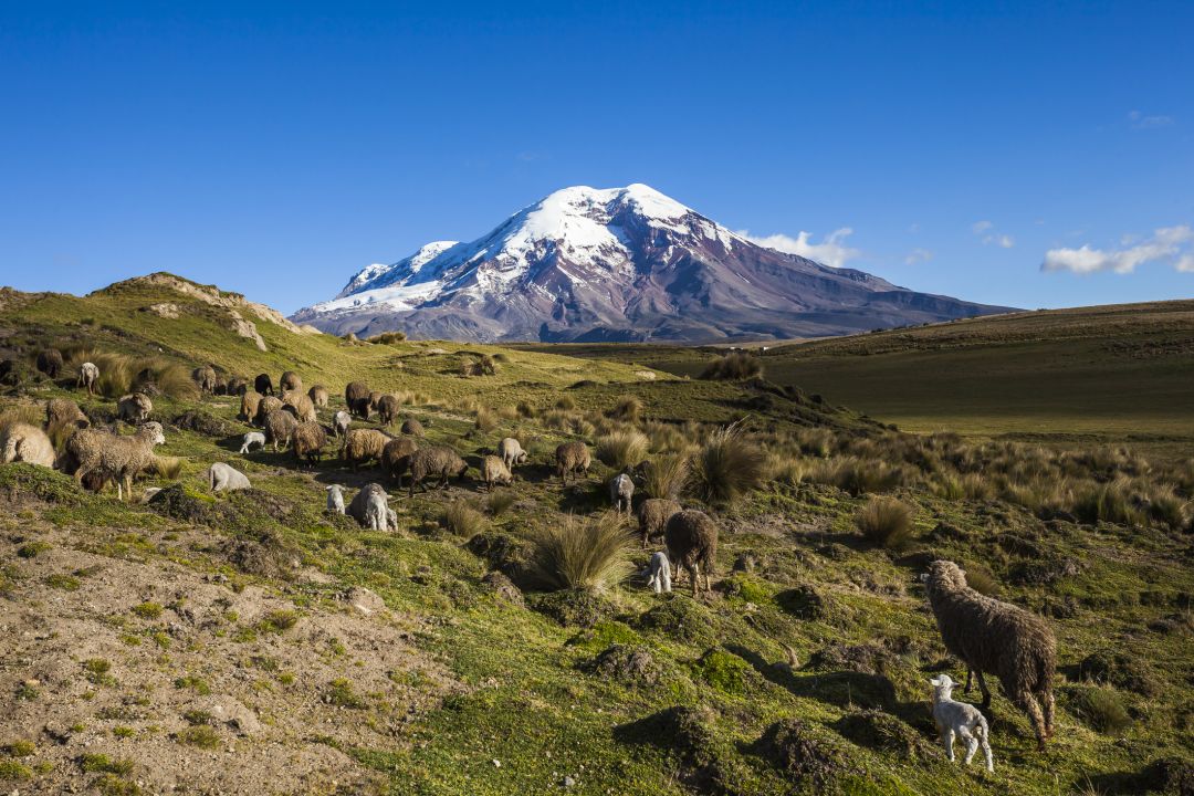Chimborazo Volcano