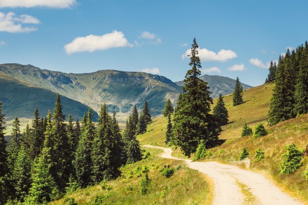 Rodna Mountains