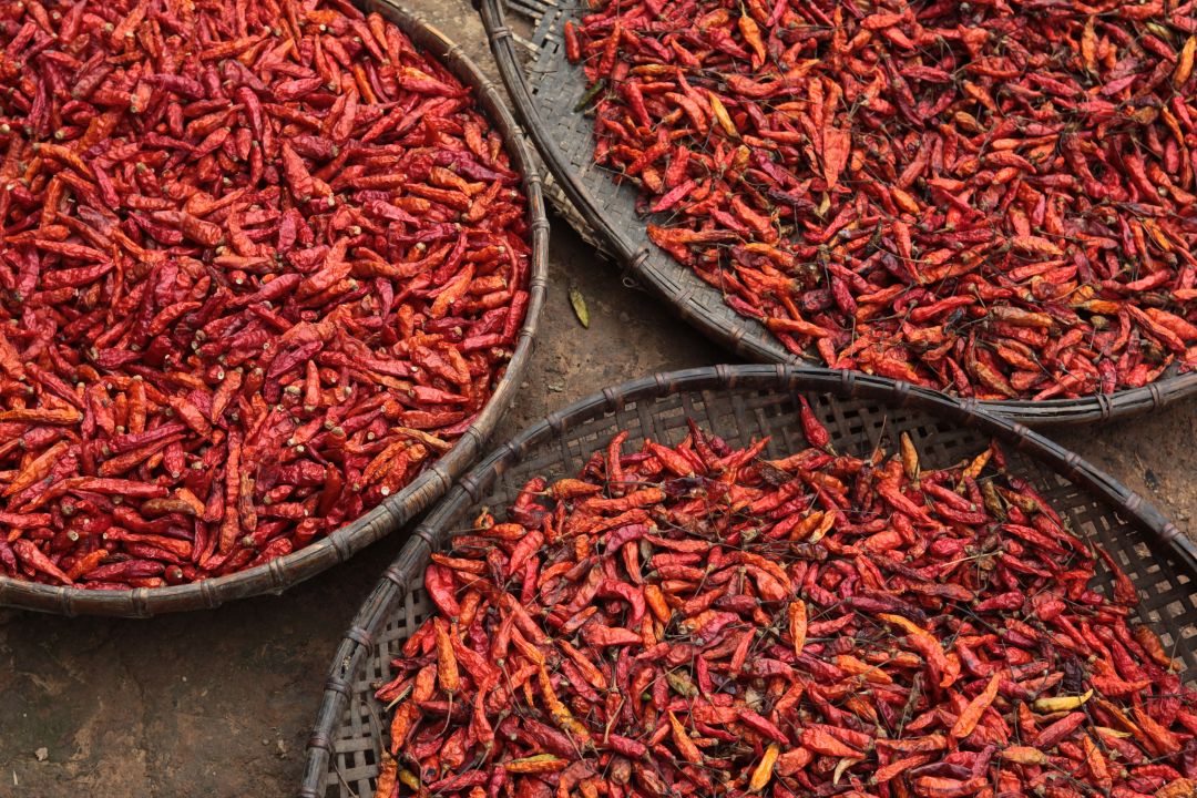 Laos