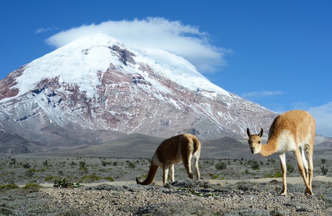 Chimborazo Volcano