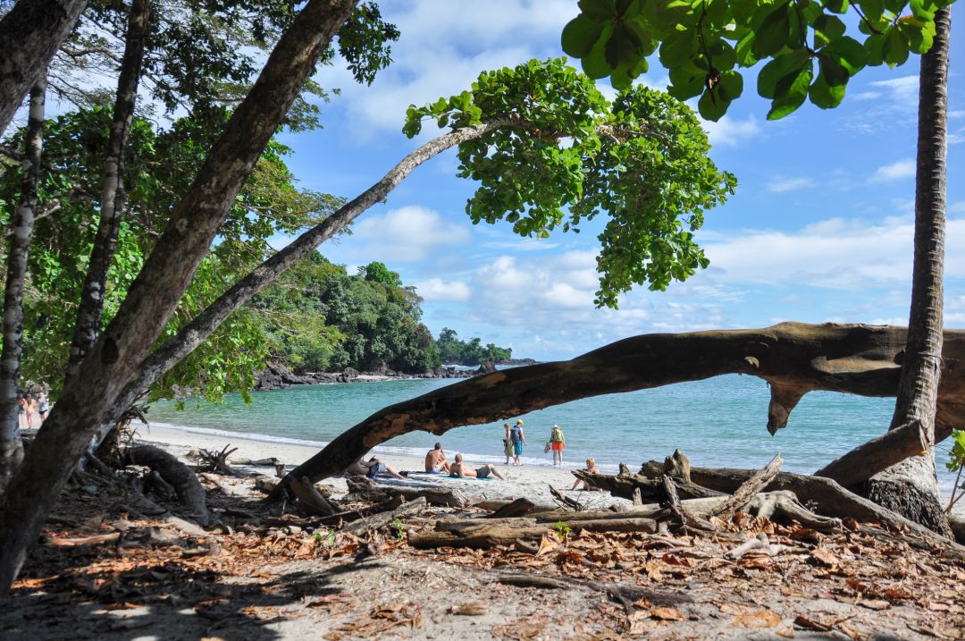 Manuel Antonio