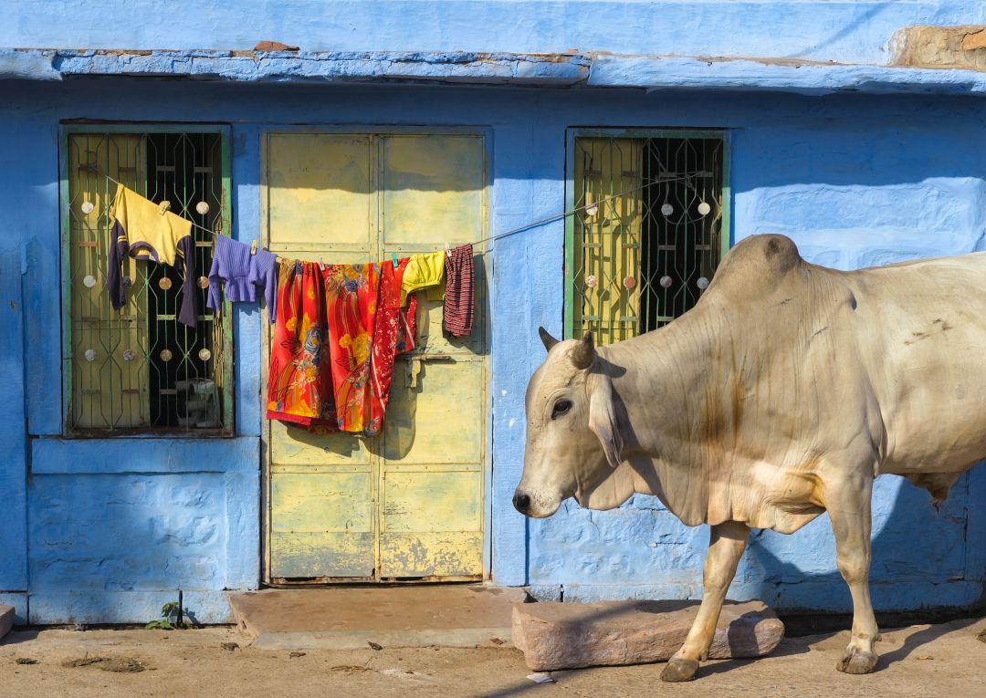 Jodhpur