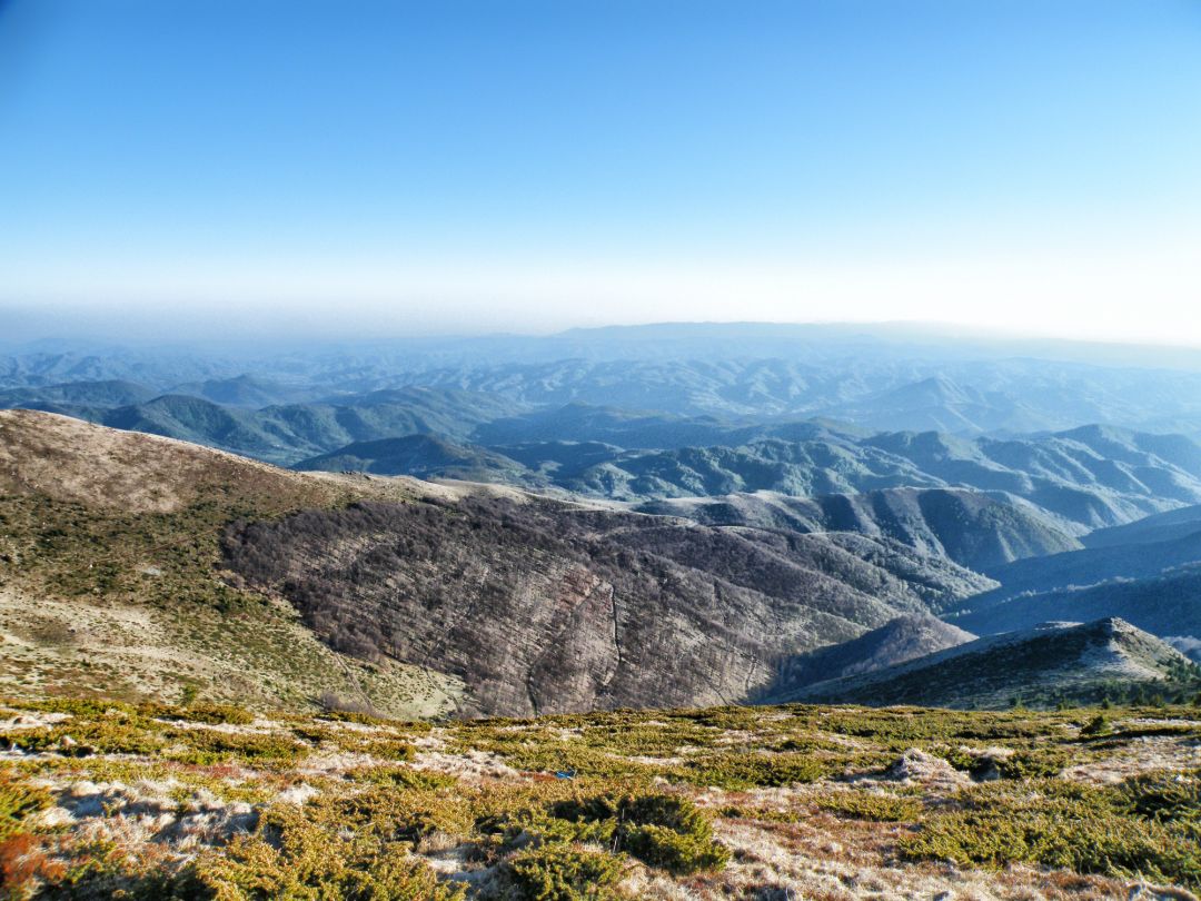 Kopaonik National Park