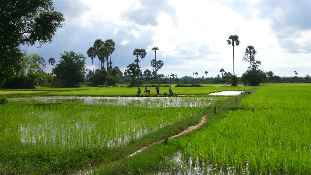 Siem Reap