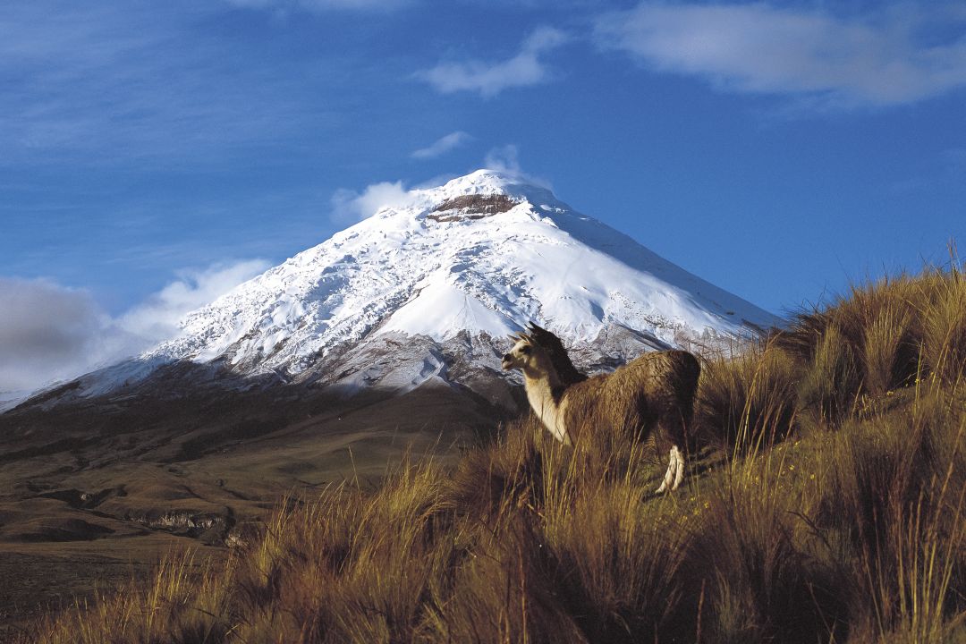 Cotopaxi National Park
