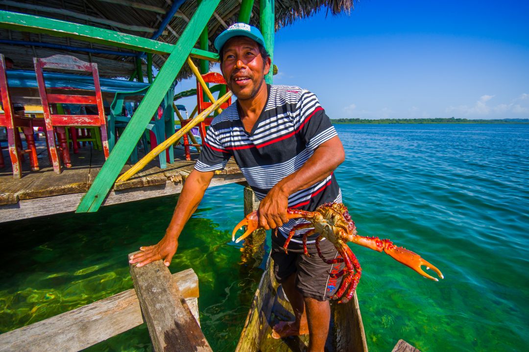 Bocas del Toro
