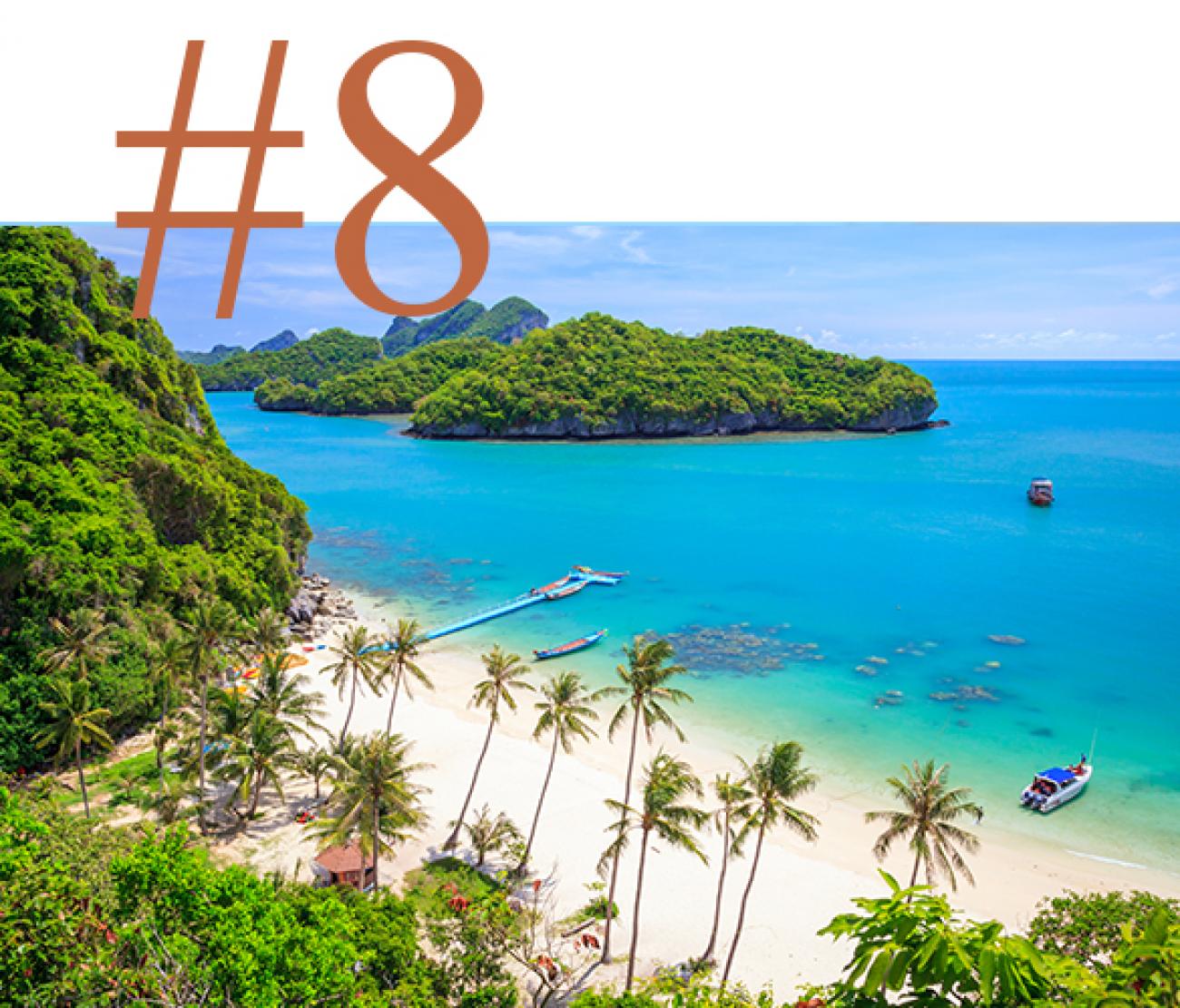 Visit a gorgeous white sand beach with palm tree in Thailand