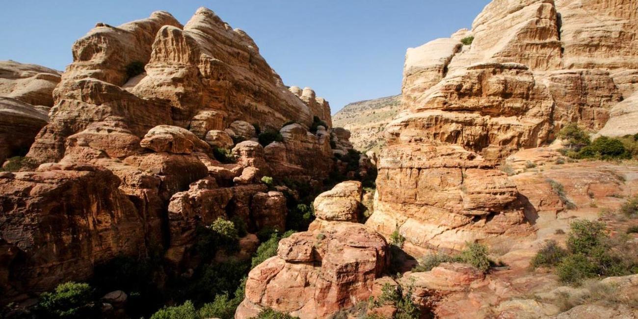 Explore Dana Nature Reserve