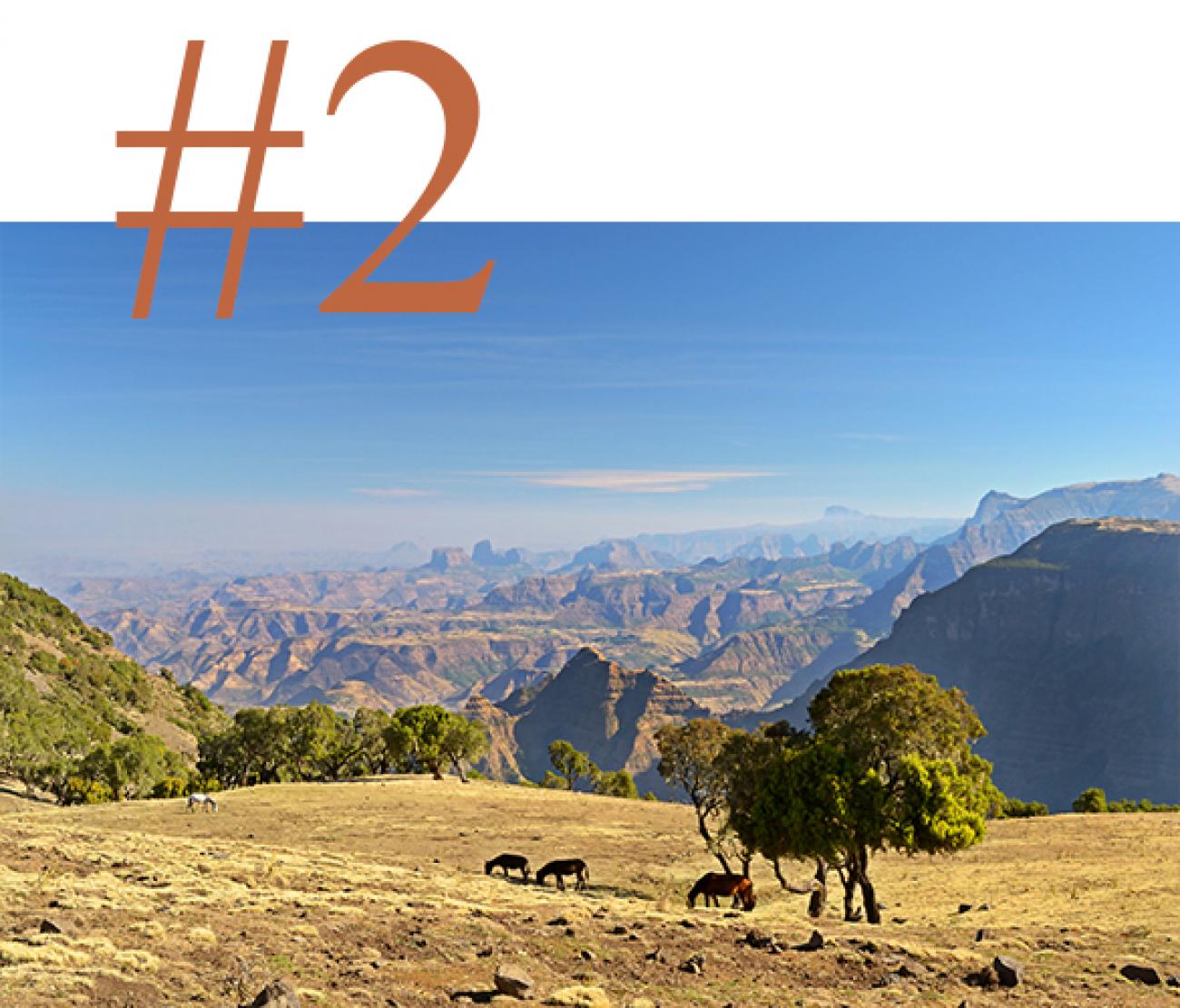 Looking out over the Simien Mountains on a clear February day 