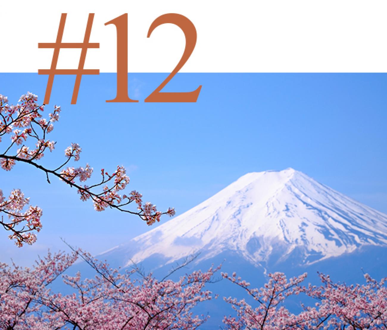 Cheery Blossom in May in Japans north