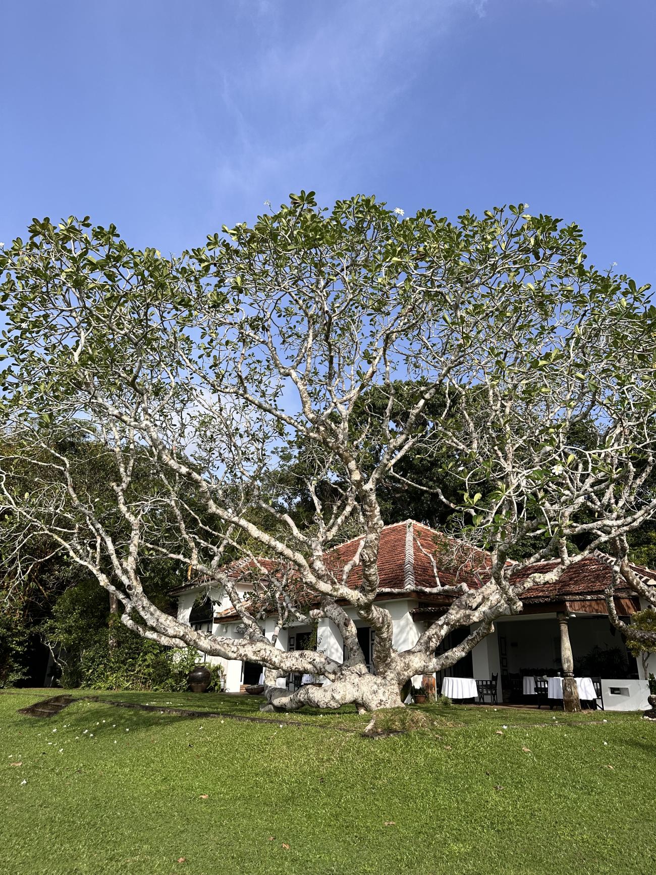 Lunuganga