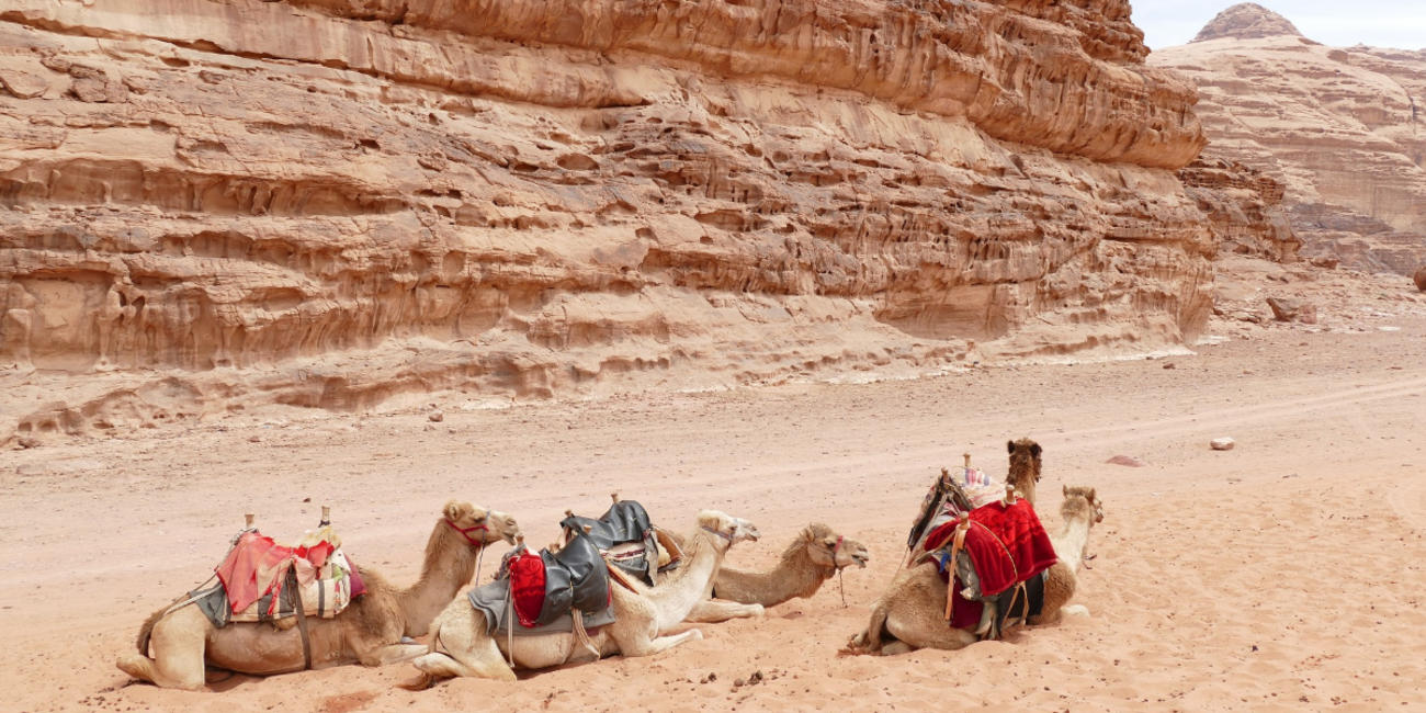 what does a jordan itinerary look like