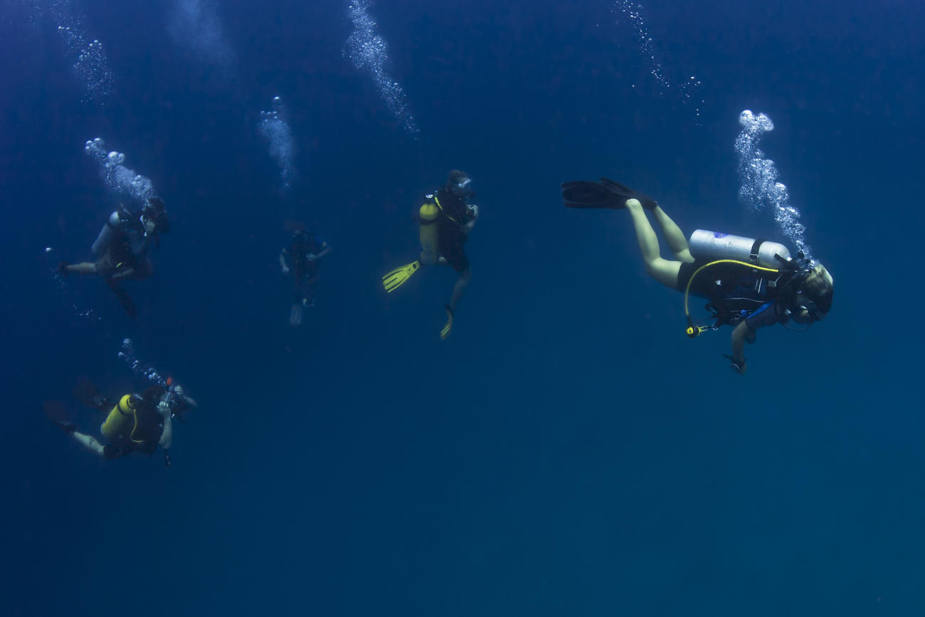 Learn to dive in thailand