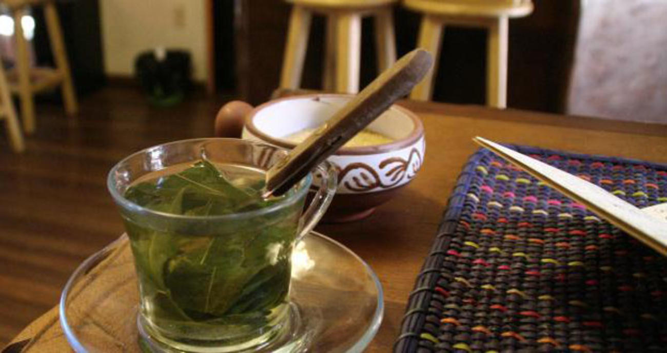 coca in bolivia