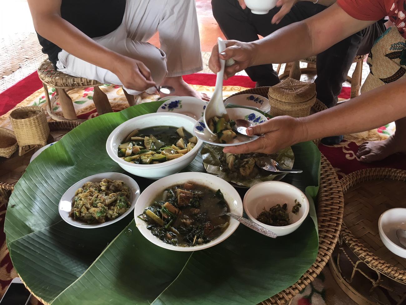 laos trips