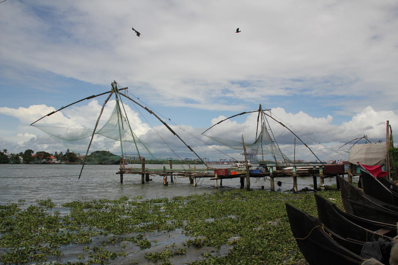 Fishing in Kochi