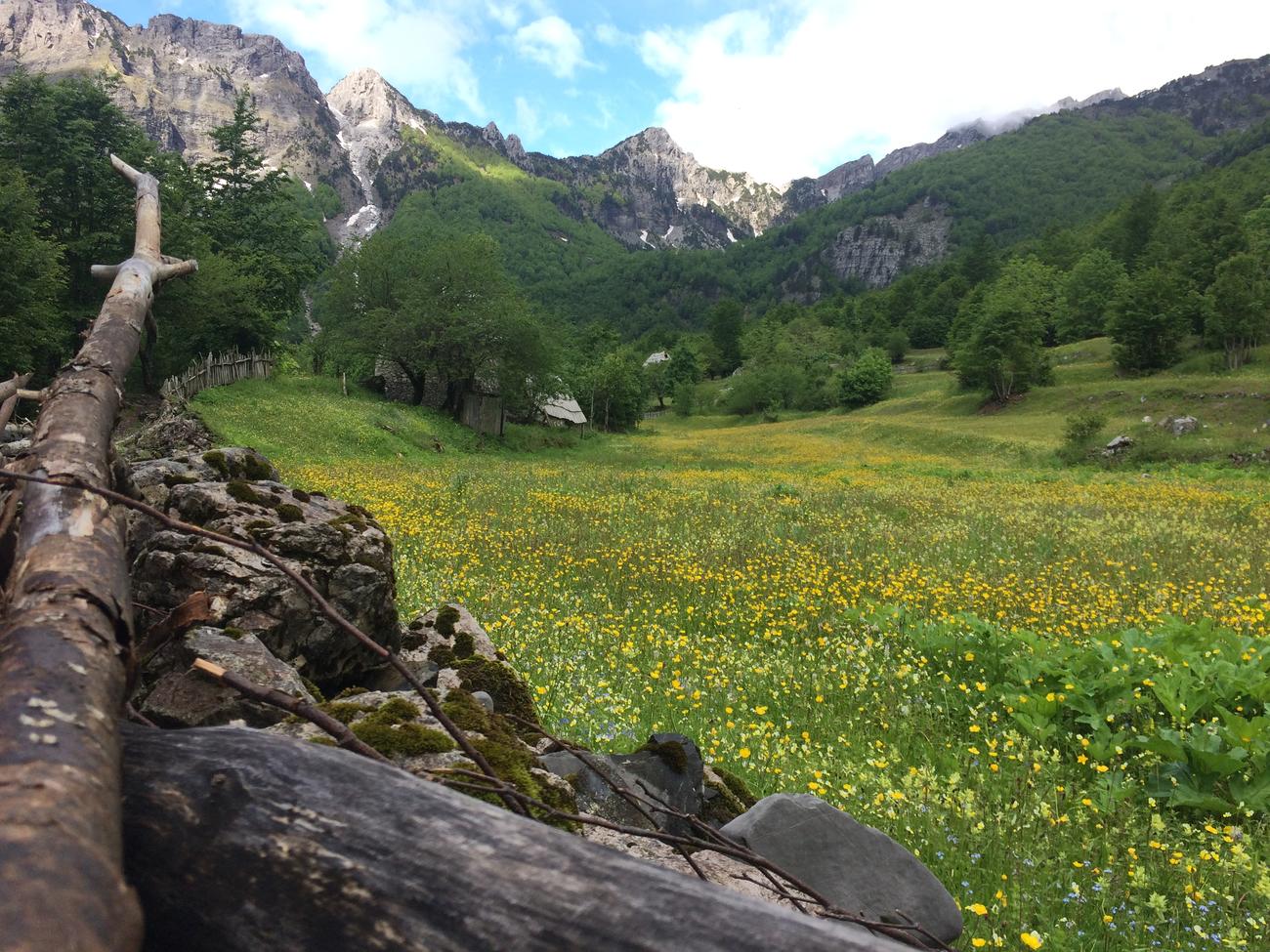 albania tours