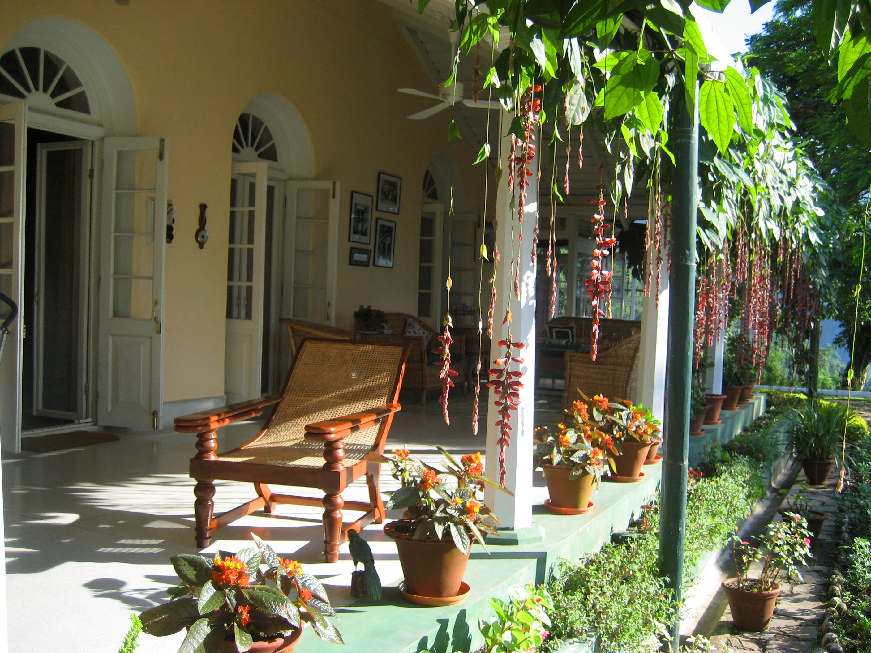 Glenburn Tea Estate