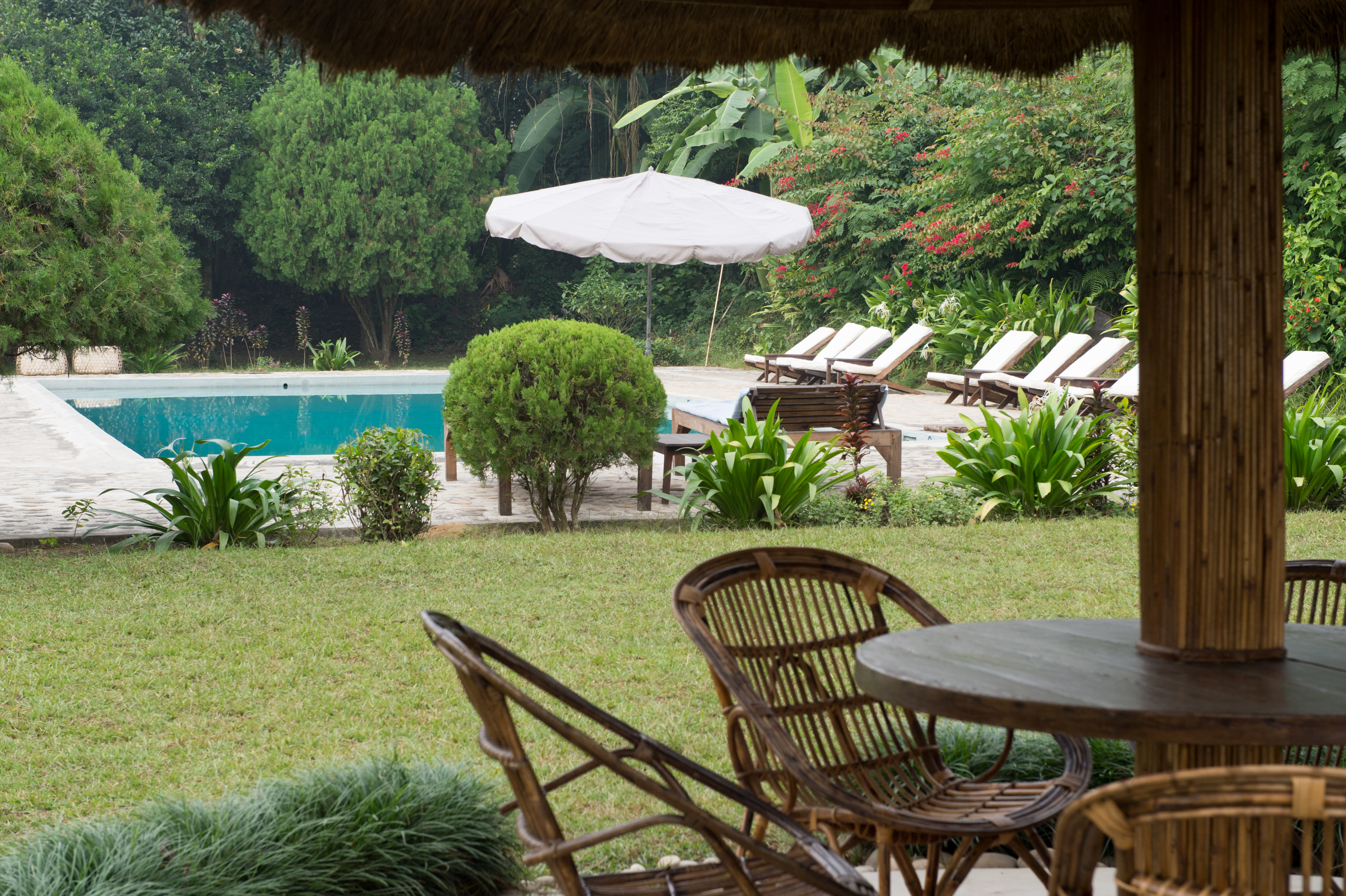 Tiger Tops Tharu Lodge