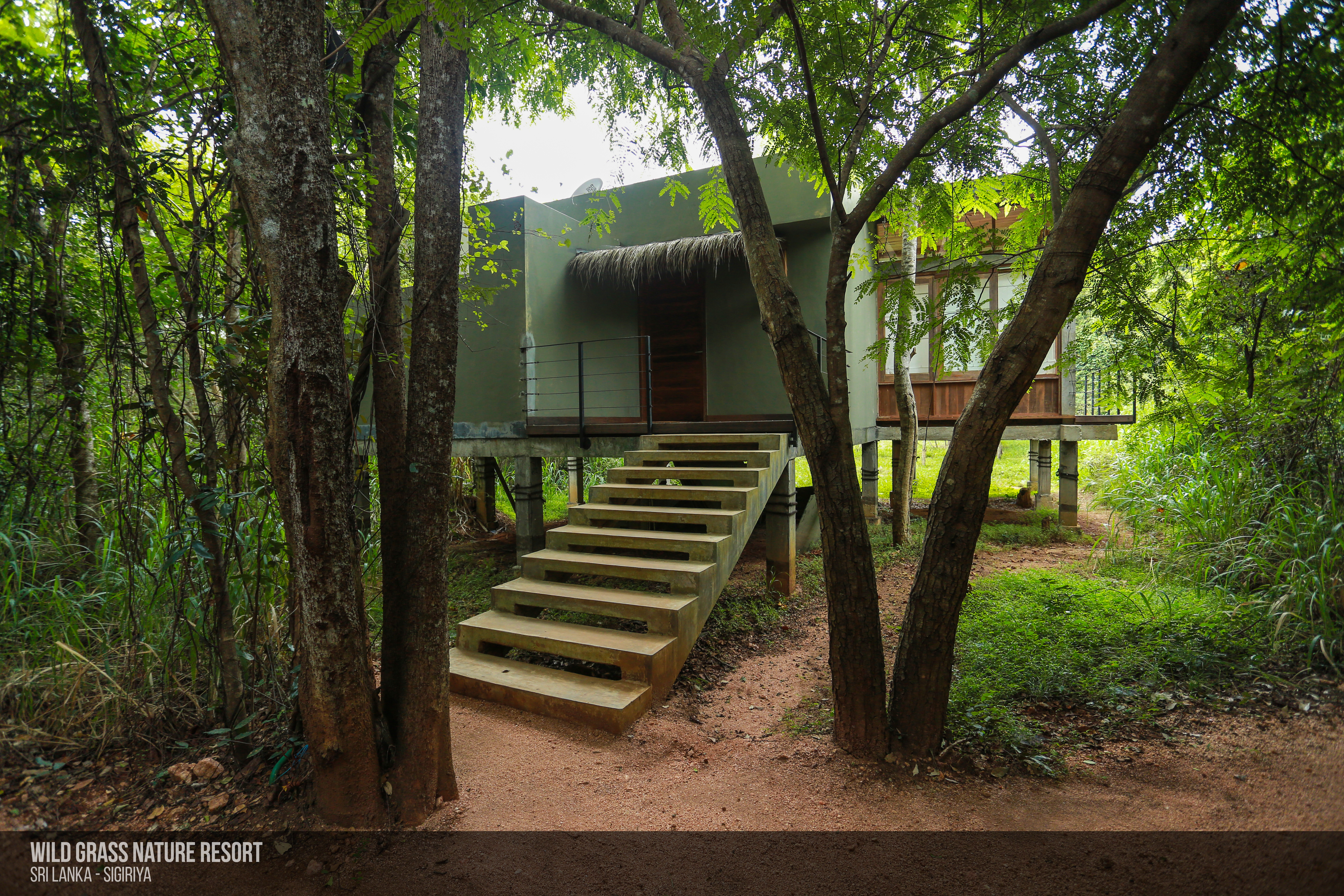 Wild Grass Nature Resort