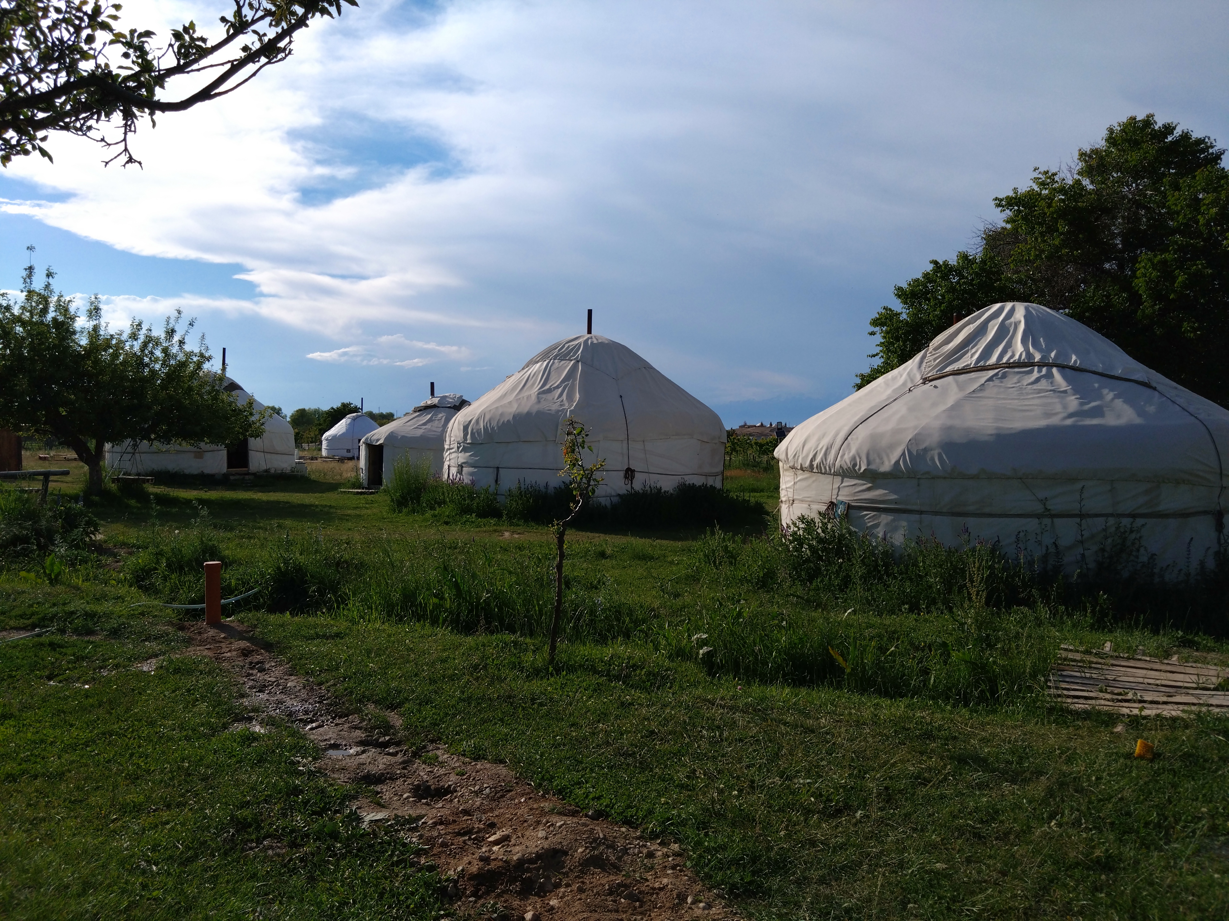Almaluu Yurt Camp
