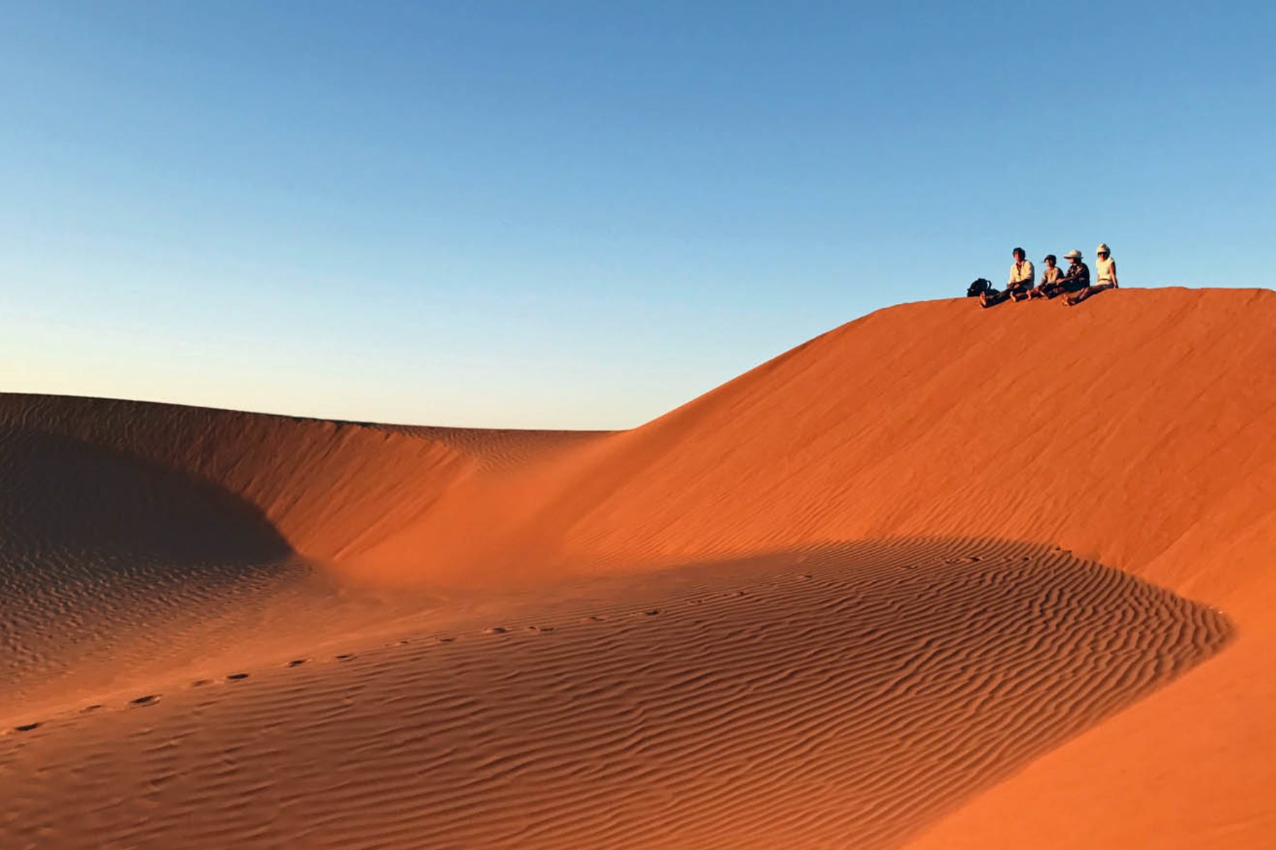 Empty Quarter Wild Camp