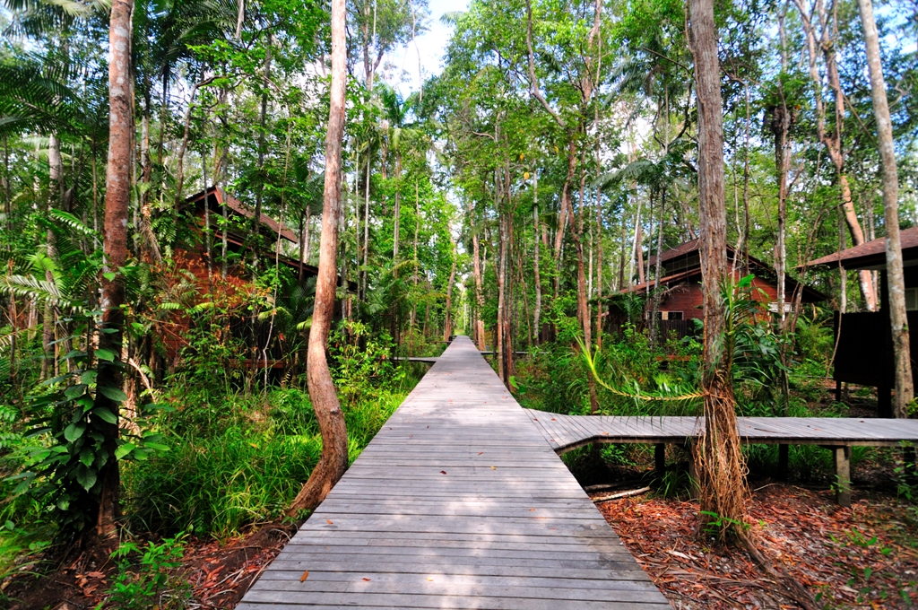 Kinabatangan Wetlands Resort