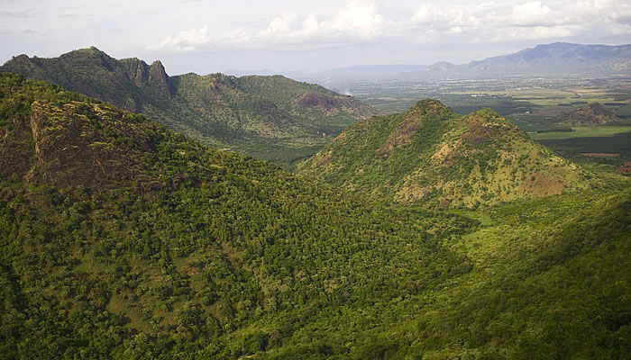 Rajakkad Estate