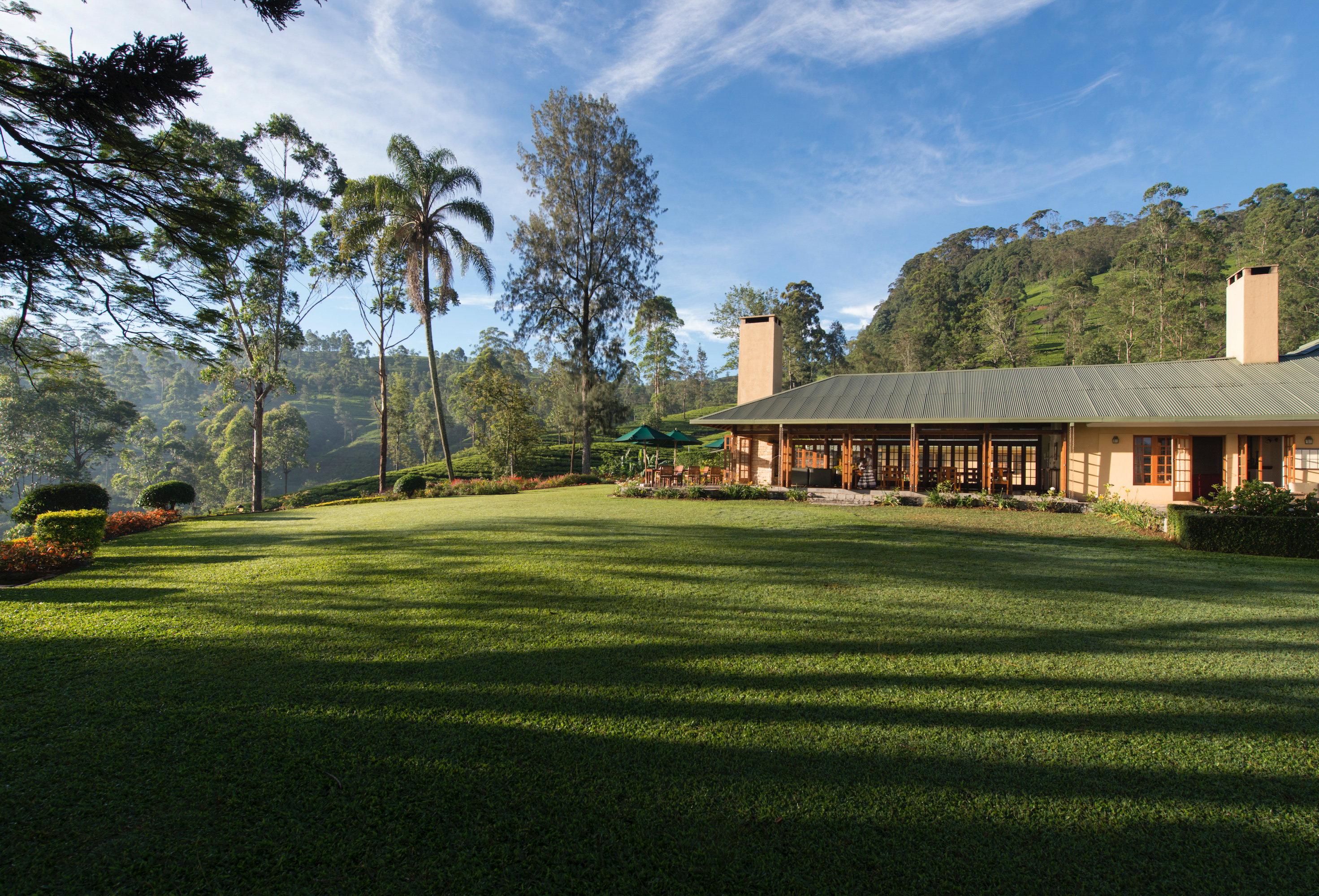 Ceylon Tea Trails