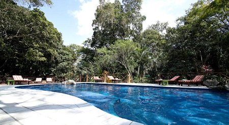 Jungle Lodge