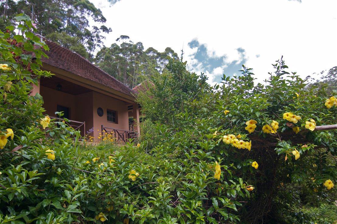 Vakona Forest Lodge